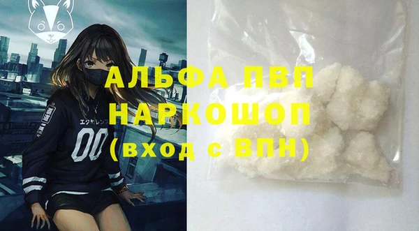 СК Балахна